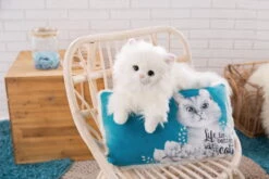 Nici 48092 Kissen Katze Meowlina Rechteckig 43x25cm Life Is Better With Cats -Spielwaren Verkauf 48091 10 48092 Milieu 2048x1365 3