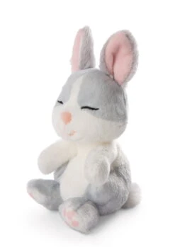 Nici 48706 Sleeping Pets Bunnies Hase Grau 12cm Schlafend Im Körbchen Grün -Spielwaren Verkauf 48706 04 ZA Frei 1451x2048