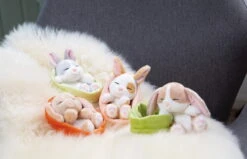 Nici 48706 Sleeping Pets Bunnies Hase Grau 12cm Schlafend Im Körbchen Grün -Spielwaren Verkauf 48706 10 48707 48708 48709 Milieu 2048x1318